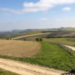 Sussex Literary Landscapes